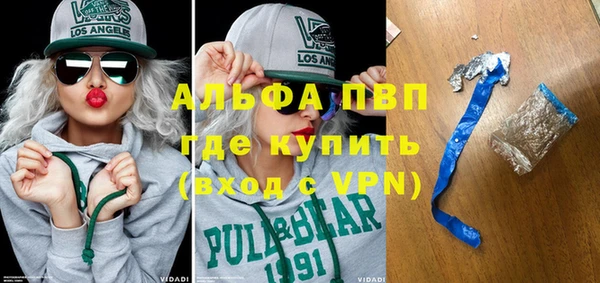 PSILOCYBIN Белокуриха