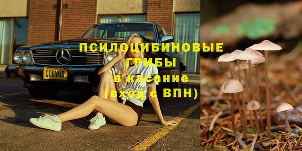 PSILOCYBIN Белокуриха