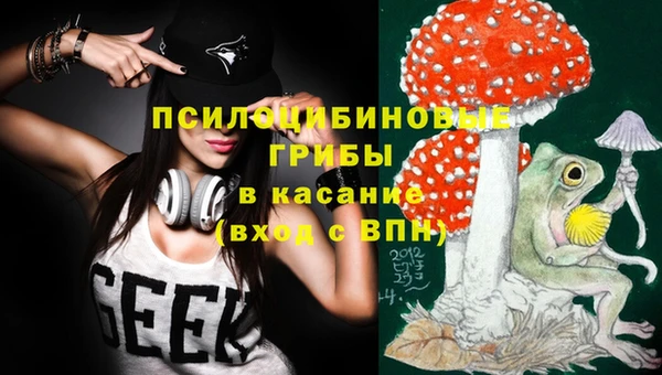 дживик Белоозёрский