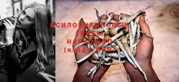 дживик Белоозёрский