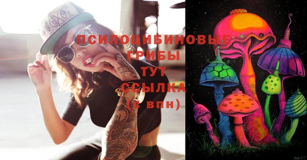 PSILOCYBIN Белокуриха