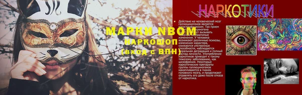 PSILOCYBIN Белокуриха