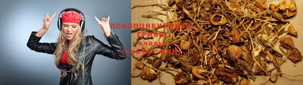 дживик Белоозёрский