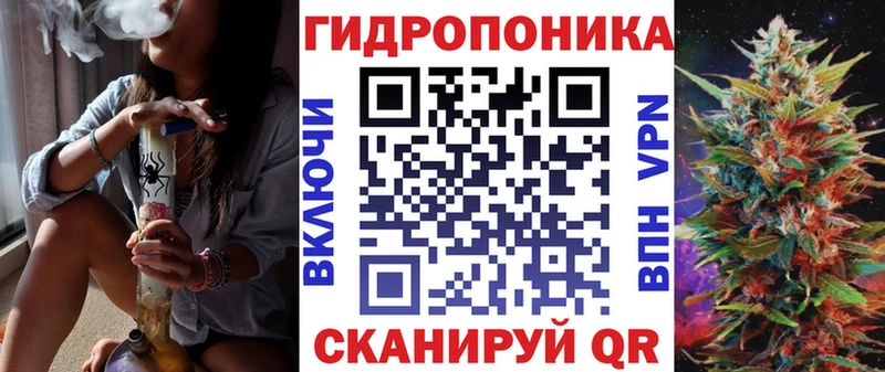 omg как войти  продажа наркотиков  Красный Холм  Канабис MAZAR 